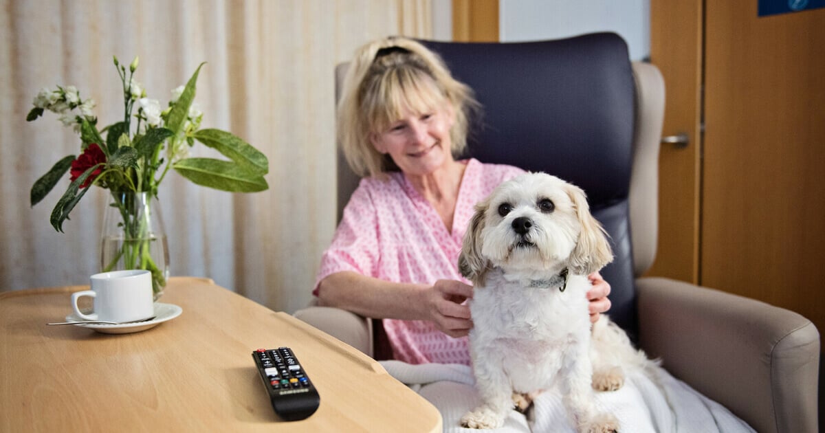 China Archives St Michaels Hospice china-archives-st-michaels-hospice