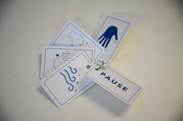 Pause Key Fob
