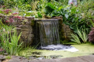 A serene garden waterfall surrounded by lush plants and flowing water.