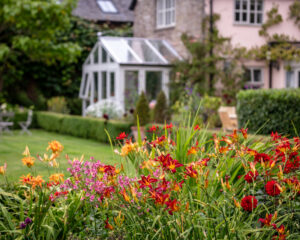 A vibrant garden with a variety of colorful flowers surrounding a charming house.