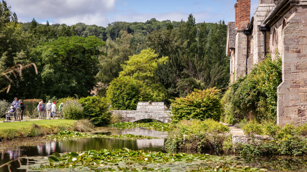 A serene pond adorned with water lilies and a charming bridge, creating a picturesque scene of tranquility.
