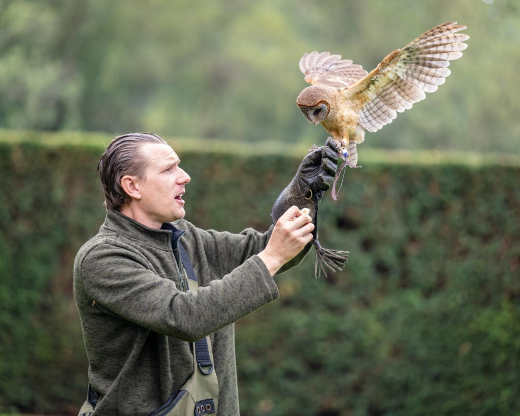 A man gently cradles an owl on his hand, showcasing the bond between humans and nature's majestic creatures.