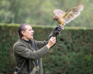 A man gently cradles an owl on his hand, showcasing the bond between humans and nature's majestic creatures.