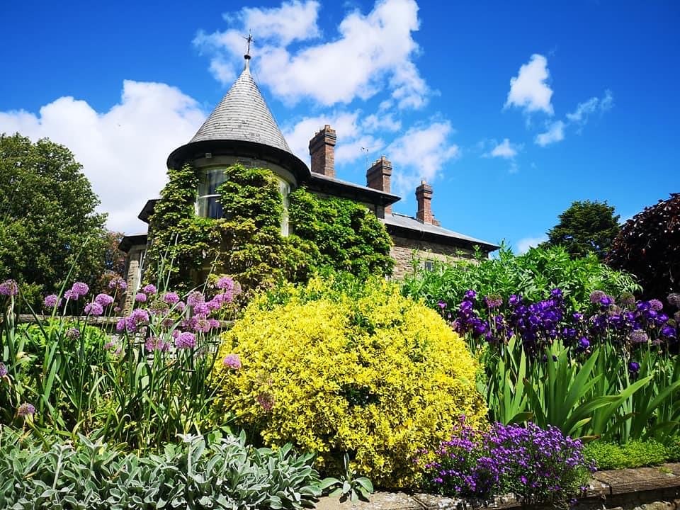 A picturesque house adorned with purple flowers and featuring a charming tower.