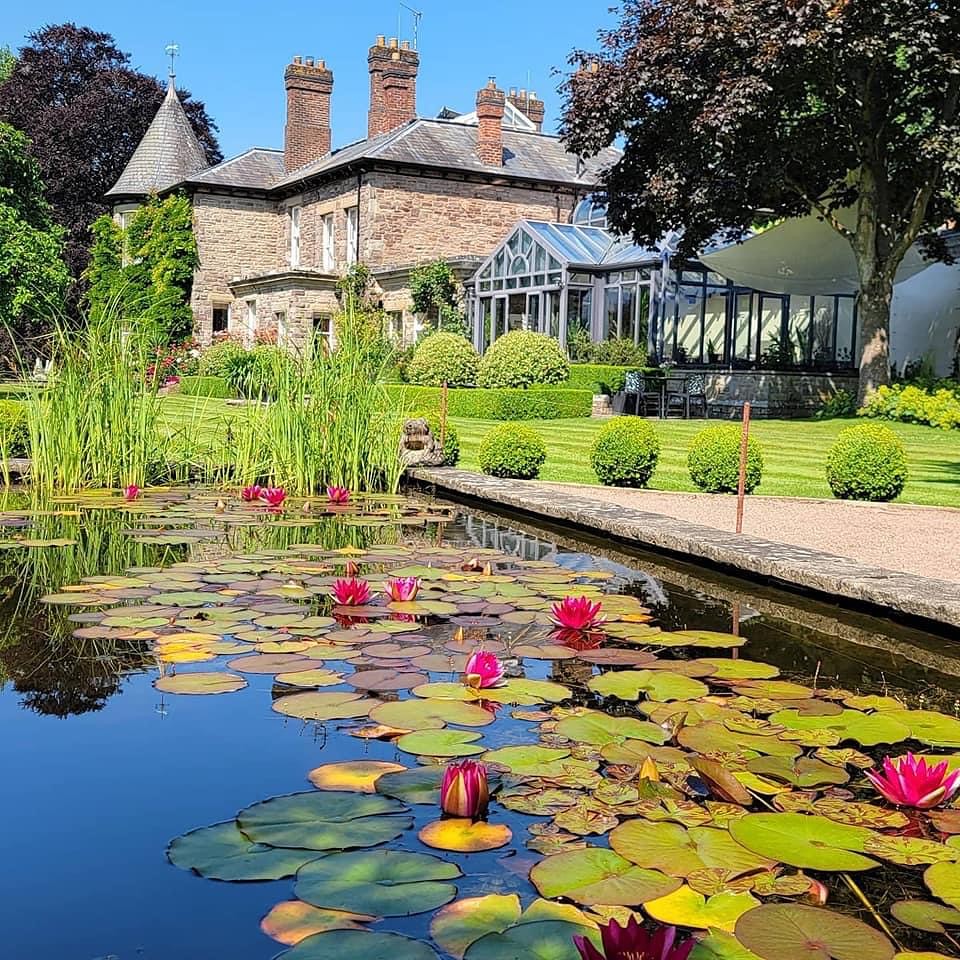 A serene pond with beautiful water lilies in front of a grand house.