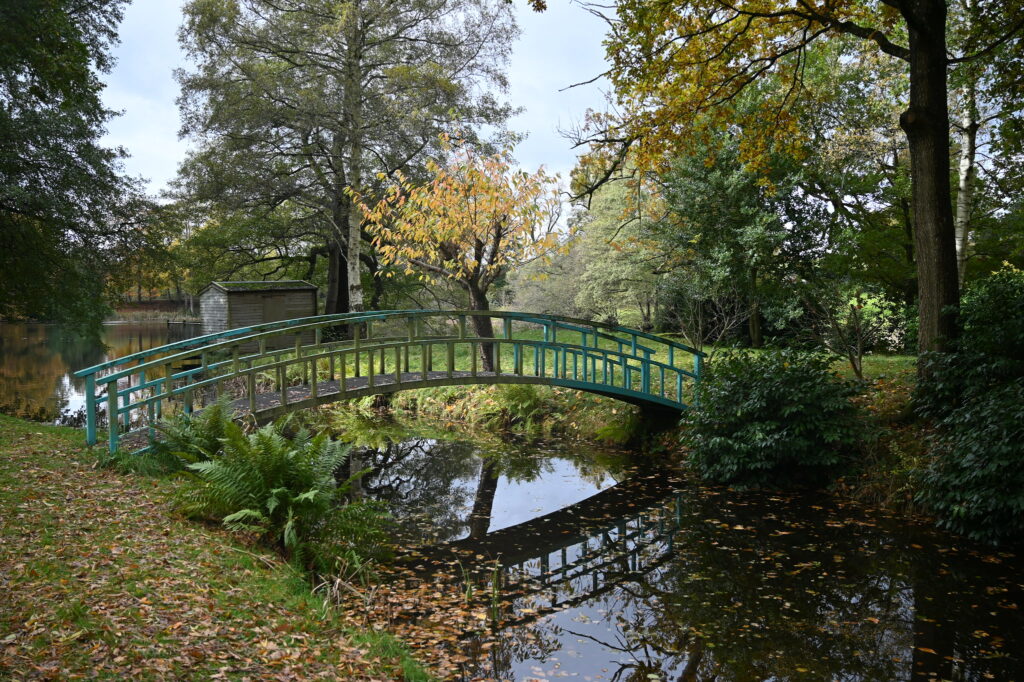 A picturesque bridge gracefully arching over a serene stream, surrounded by lush greenery.