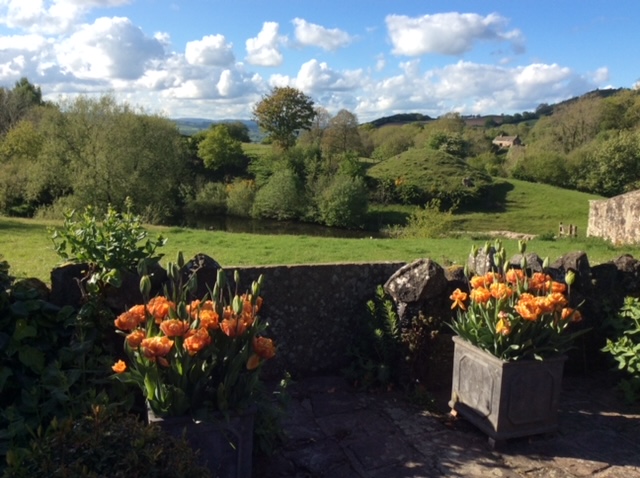 Orange tulips in pots on a house patio, adding vibrant colours and natural beauty to the outdoor space.