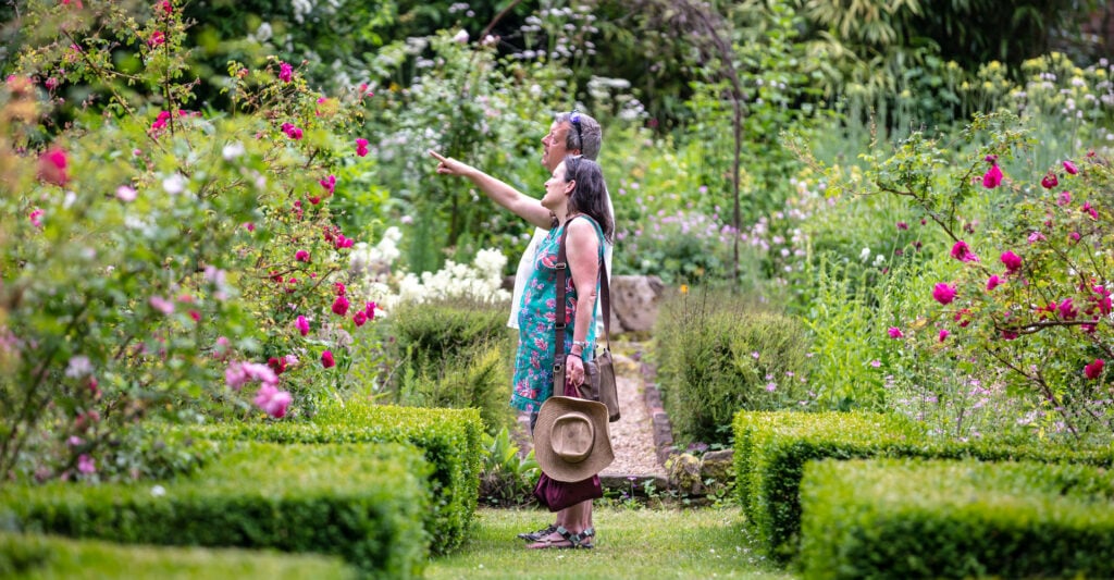 A man and woman standing in a garden, surrounded by colorful flowers and lush greenery.