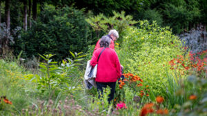 Two individuals strolling amidst blooming flowers in a serene garden.