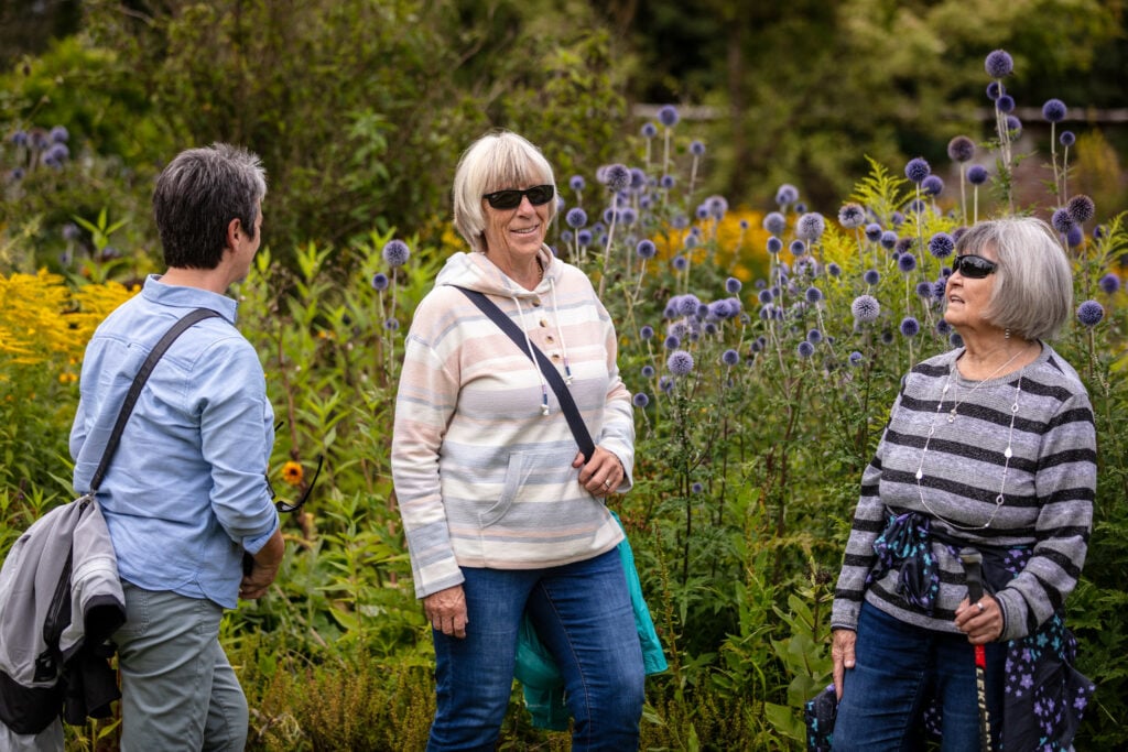 Three women walking through a field of colorful flowers, enjoying the beauty of nature and each other's company.