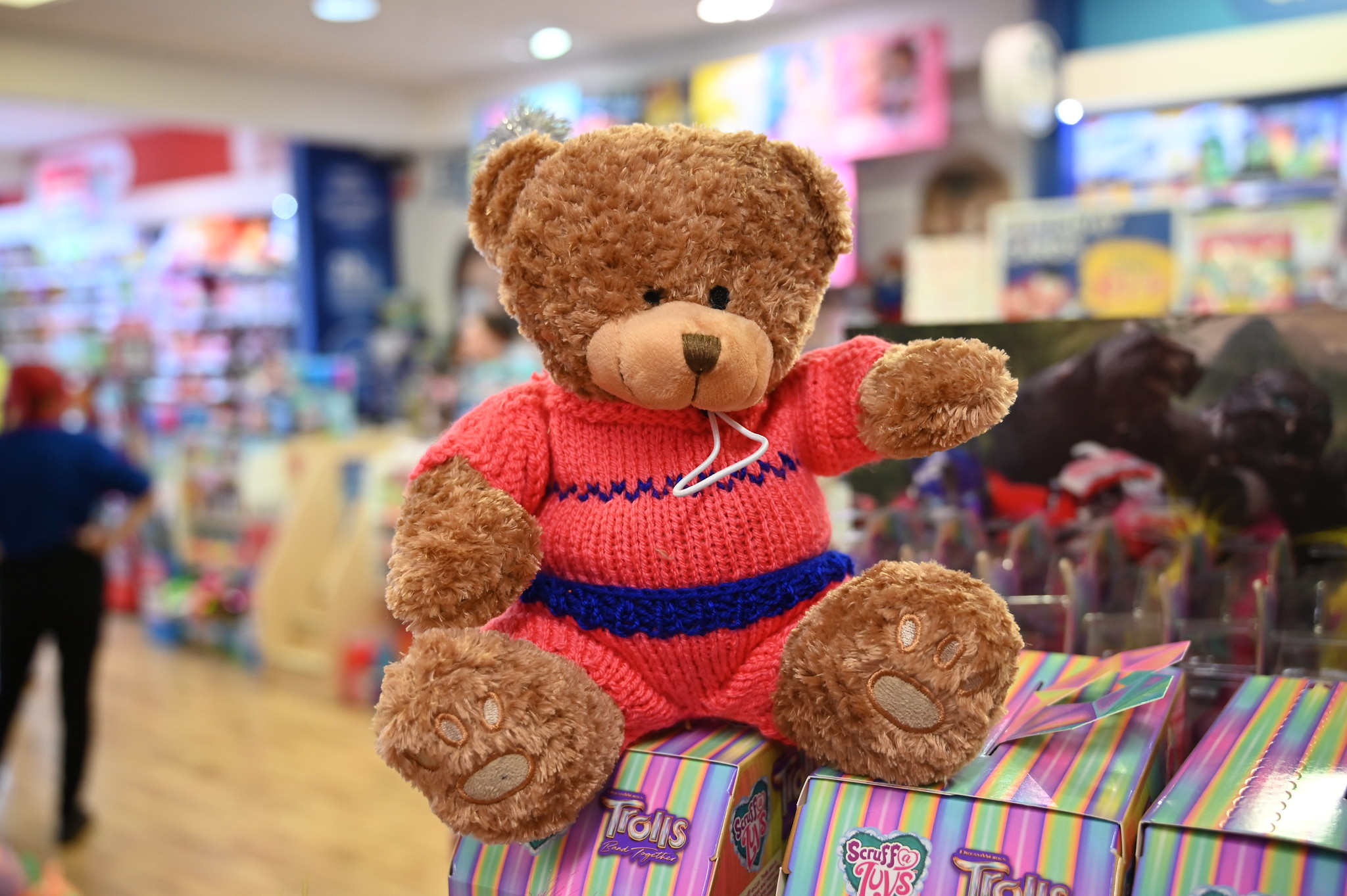Felix Bear - Teddy Trail