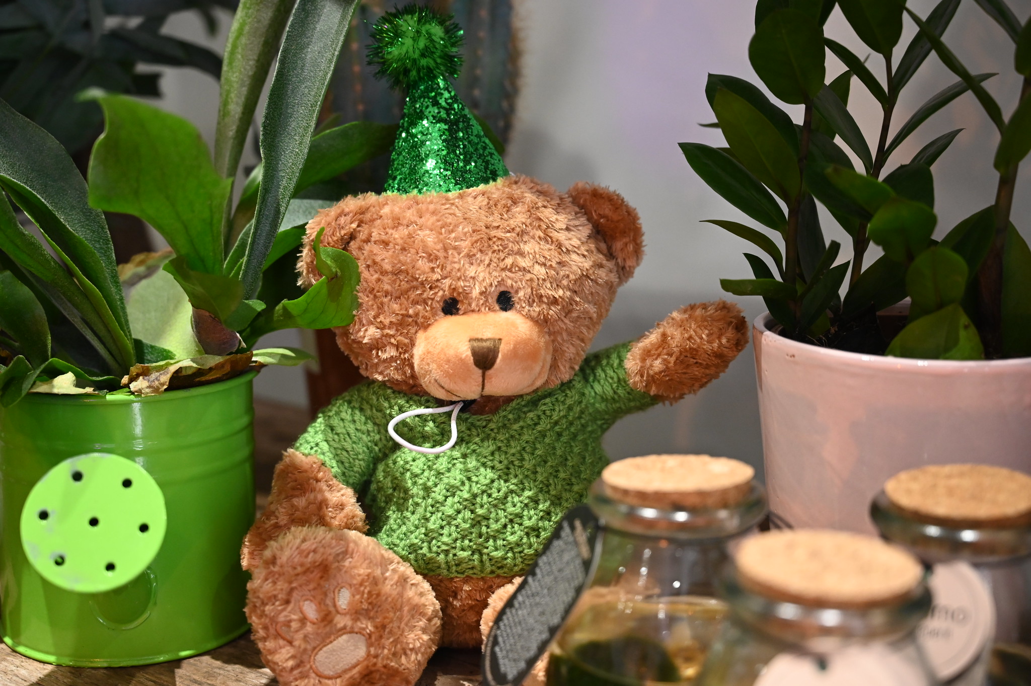 Lucinda Bear - Teddy Trail
