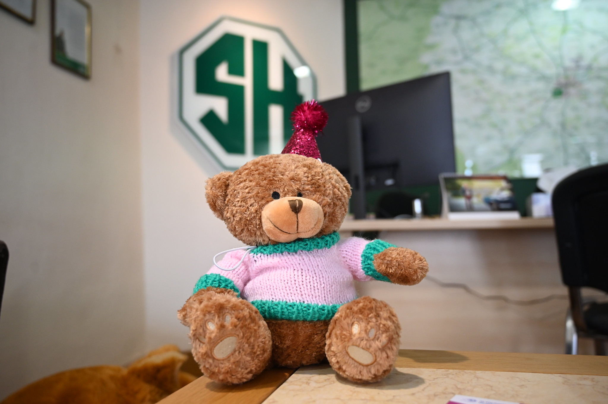 Alister Bear - Teddy Trail