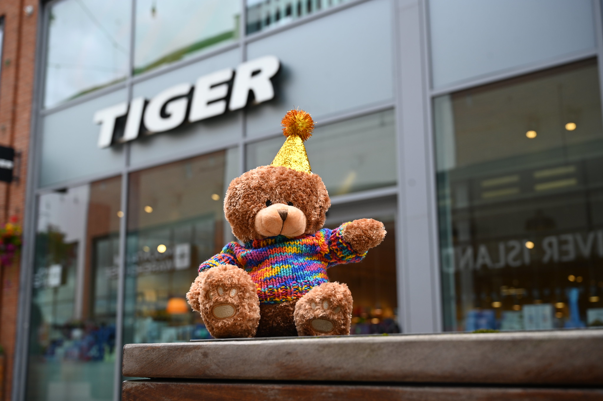 Tony Bear - Teddy Trail