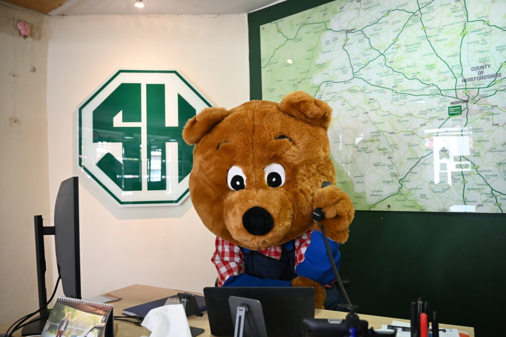 Benny Bear in Stook, Hill & Walse