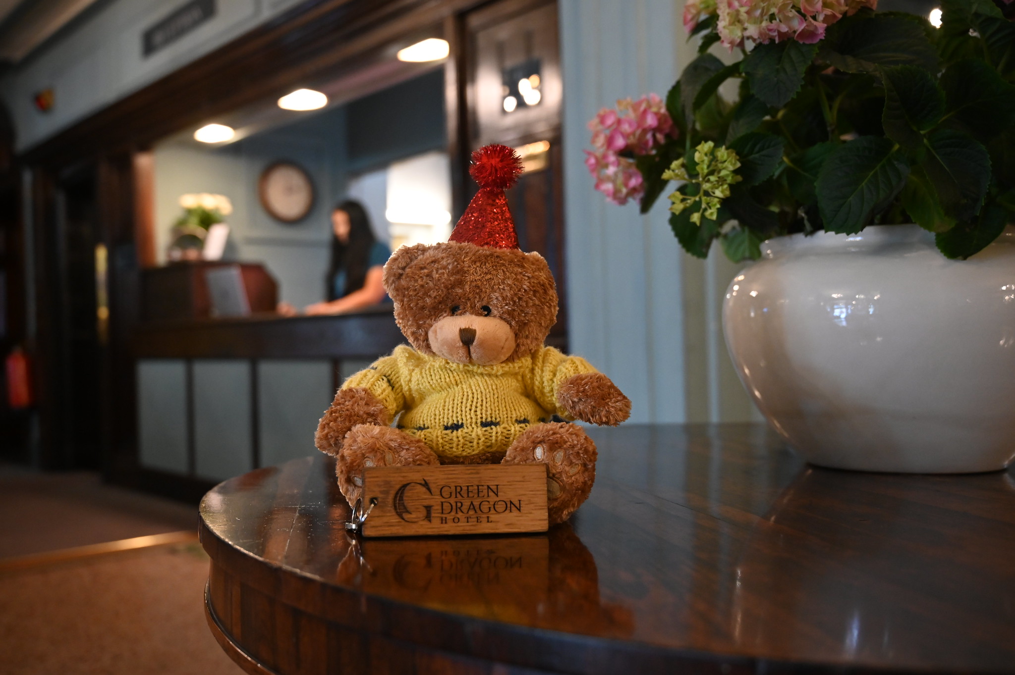 George Bear - Teddy Trail