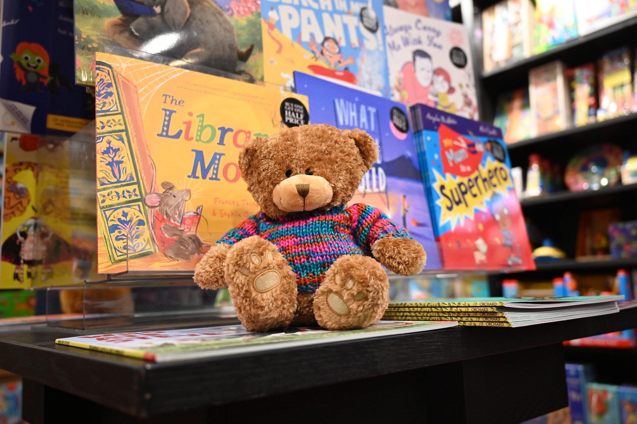 Hermione Bear - Teddy Trail