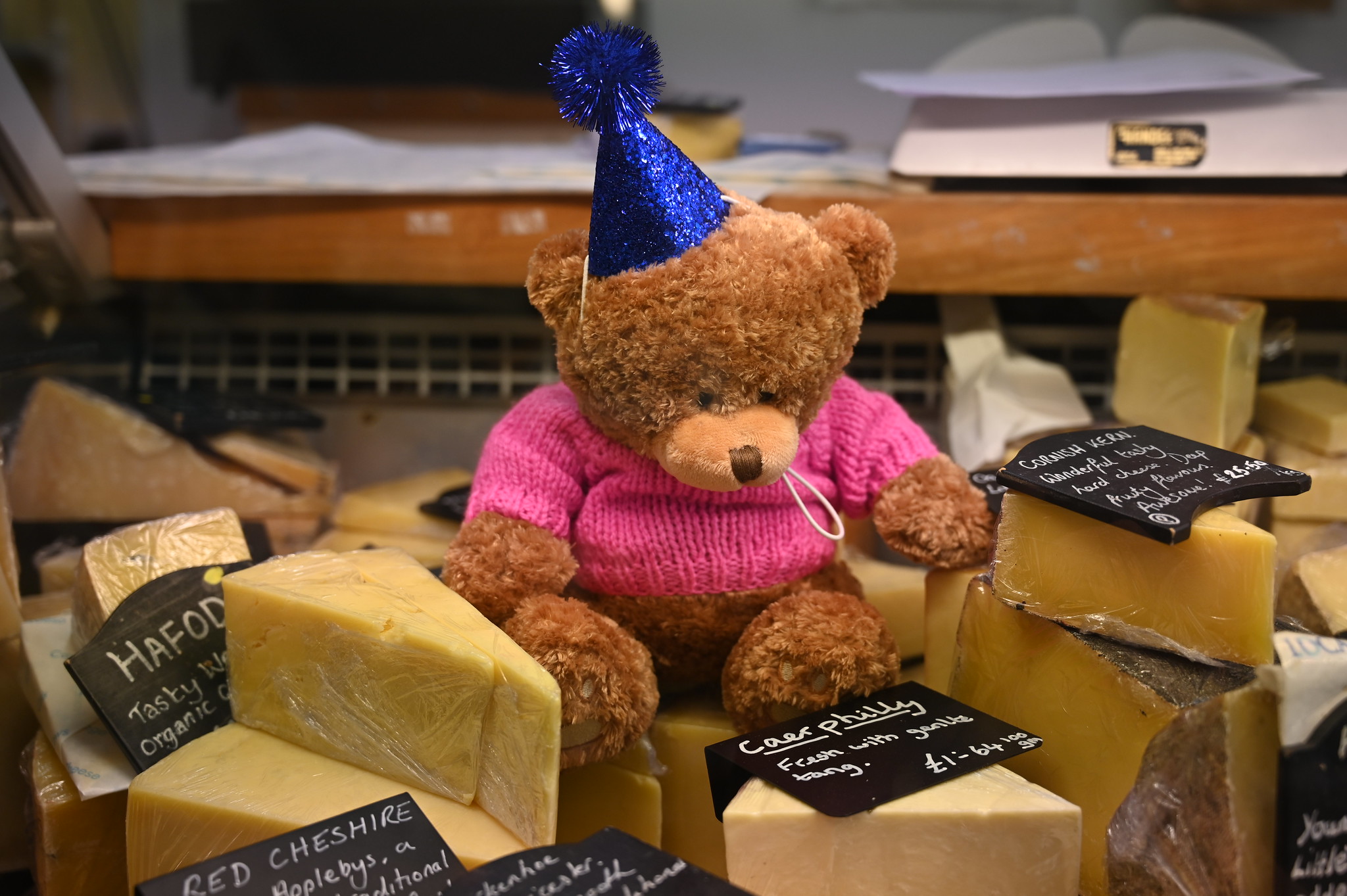 Stuart Bear - Teddy Trail