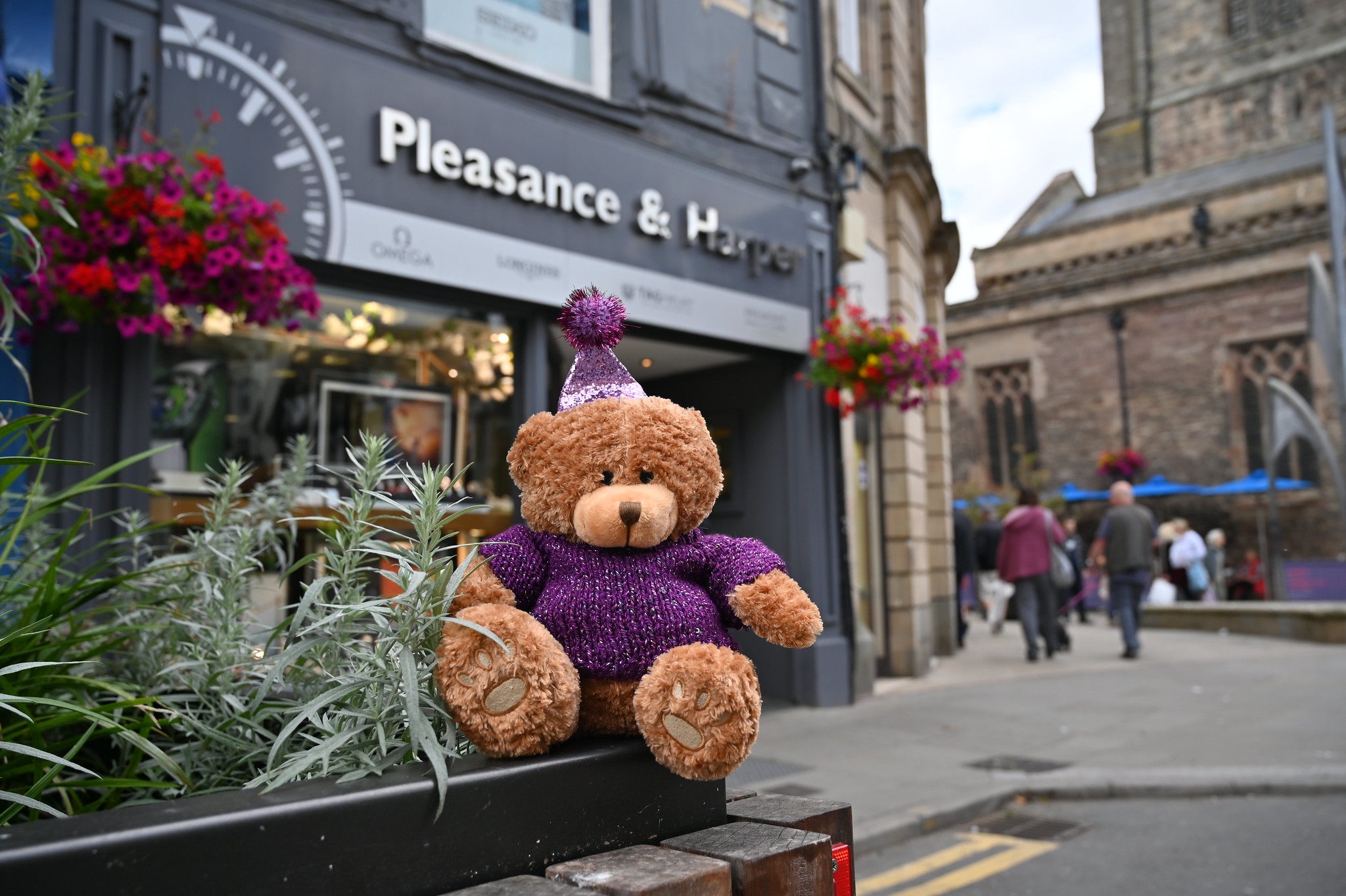 Harper Bear - Teddy Trail