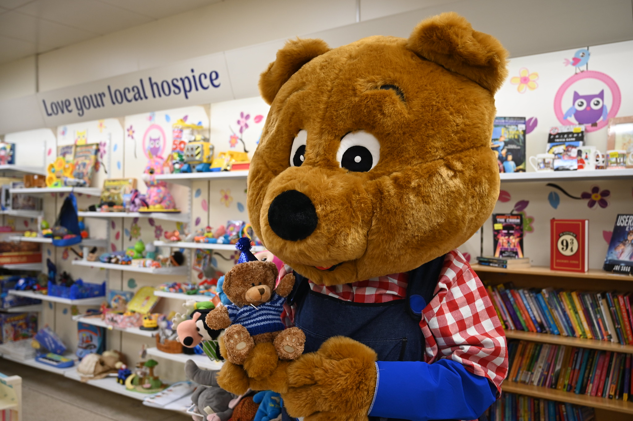 Benny Bear in Eign Gate Shop