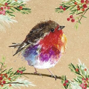 'Fluffy Robin' Christmas Cards