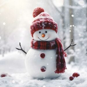 'Frosty Snowman' Christmas Cards
