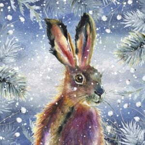 'Christmas Hares' Christmas Cards (Twin Pack)