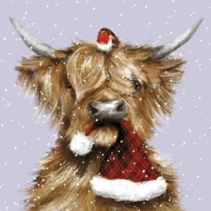 'Highland Cow' Christmas Cards