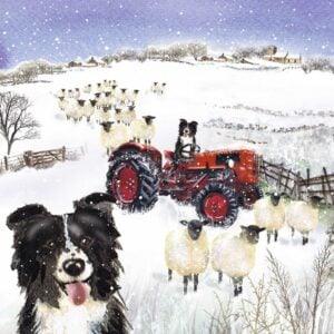 'Shep's Tractor' Christmas Cards (Twin Pack)