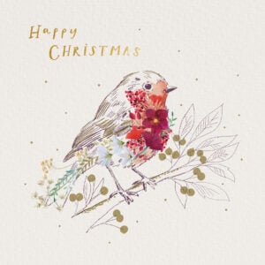 'Beautiful Robin' Christmas Cards (Twin Pack)