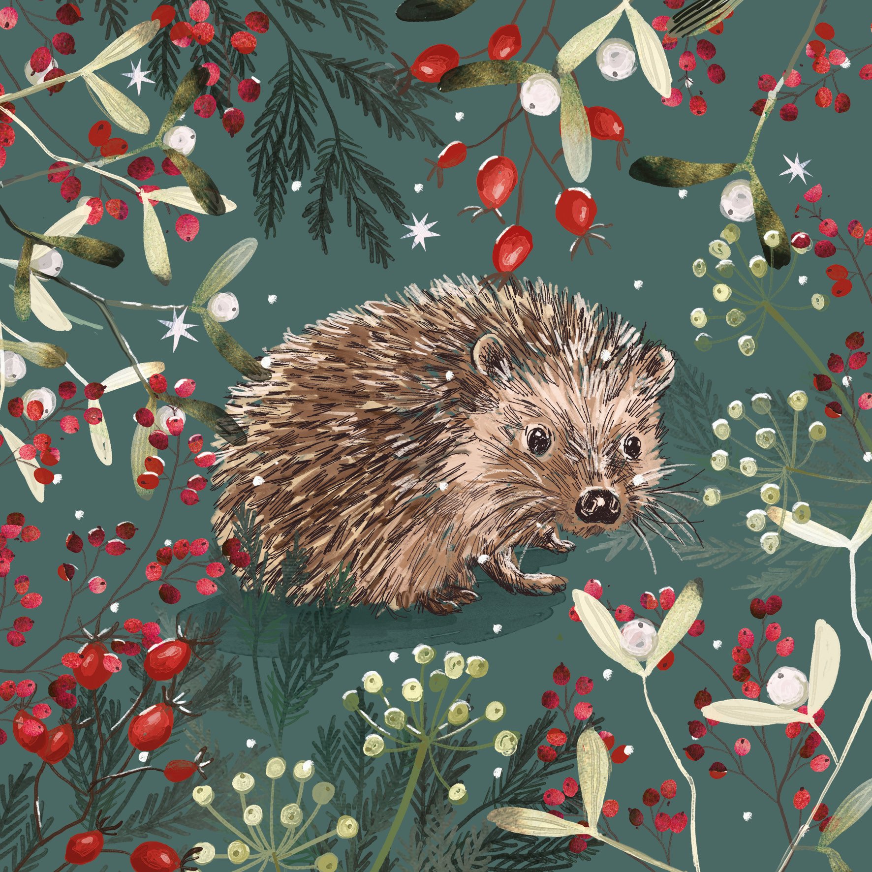 'Berry Merry Hedgehog' Christmas Cards