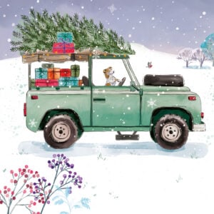 'Christmas Delivery' Christmas Cards