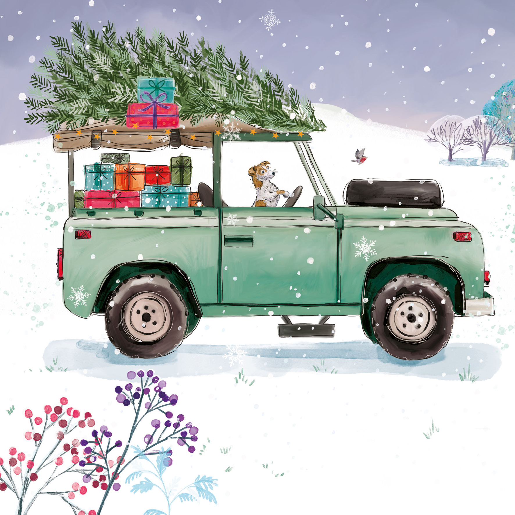 'Christmas Delivery' Christmas Cards