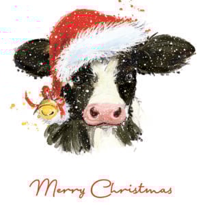 'Christmas Cow Bell' Christmas Cards