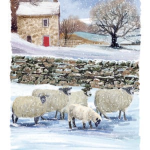 'Winter Woolies' Christmas Cards
