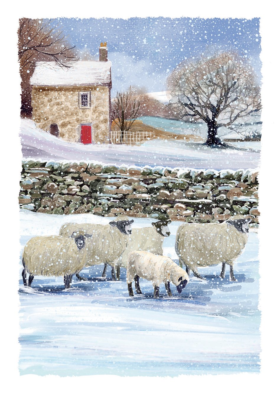 'Winter Woolies' Christmas Cards